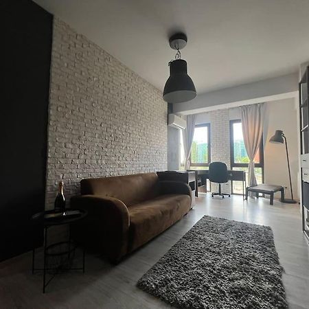 Апартаменты Studio Downtown Бухарест Экстерьер фото
